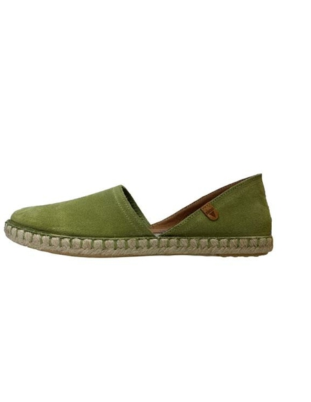 VERBENA CARMEN KELP|VEREBENA