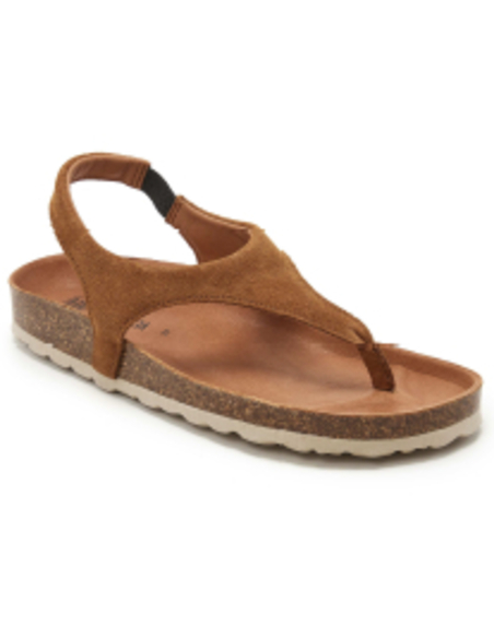 VERBENA REAGAN SERRAJE|VEREBENA