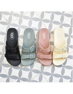 IGOR ANE DIJON|igor 2