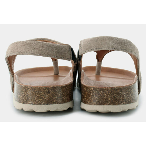 VERBENA REAGAN SERRAJE PIEDRA|VEREBENA