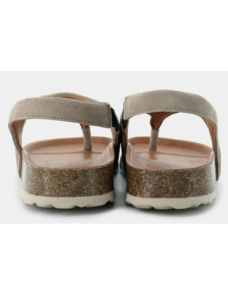 VERBENA REAGAN SERRAJE PIEDRA|VEREBENA