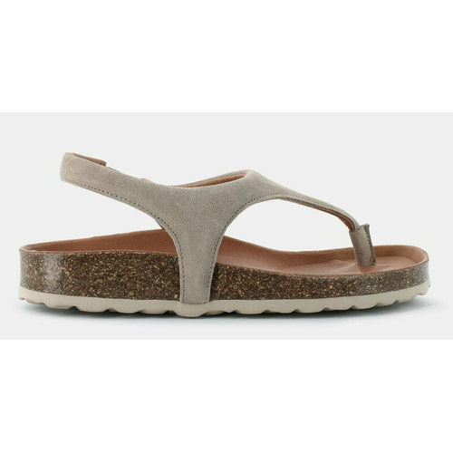 VERBENA REAGAN SERRAJE PIEDRA|VEREBENA