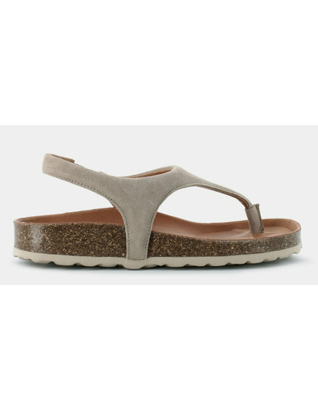 VERBENA REAGAN SERRAJE PIEDRA|VEREBENA