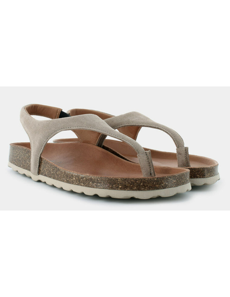 VERBENA REAGAN SERRAJE PIEDRA|VEREBENA