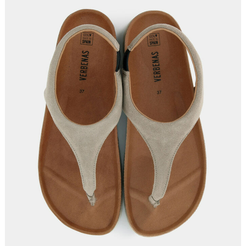 VERBENA REAGAN SERRAJE PIEDRA|VEREBENA