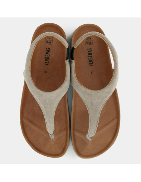 VERBENA REAGAN SERRAJE PIEDRA|VEREBENA