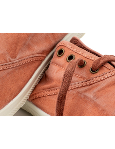 NATURAL WORLD|Suite JC 2